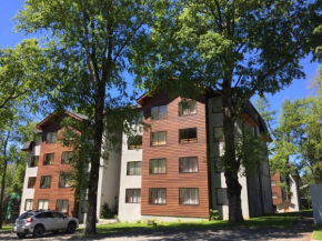 Departamento Pucón  Пукон